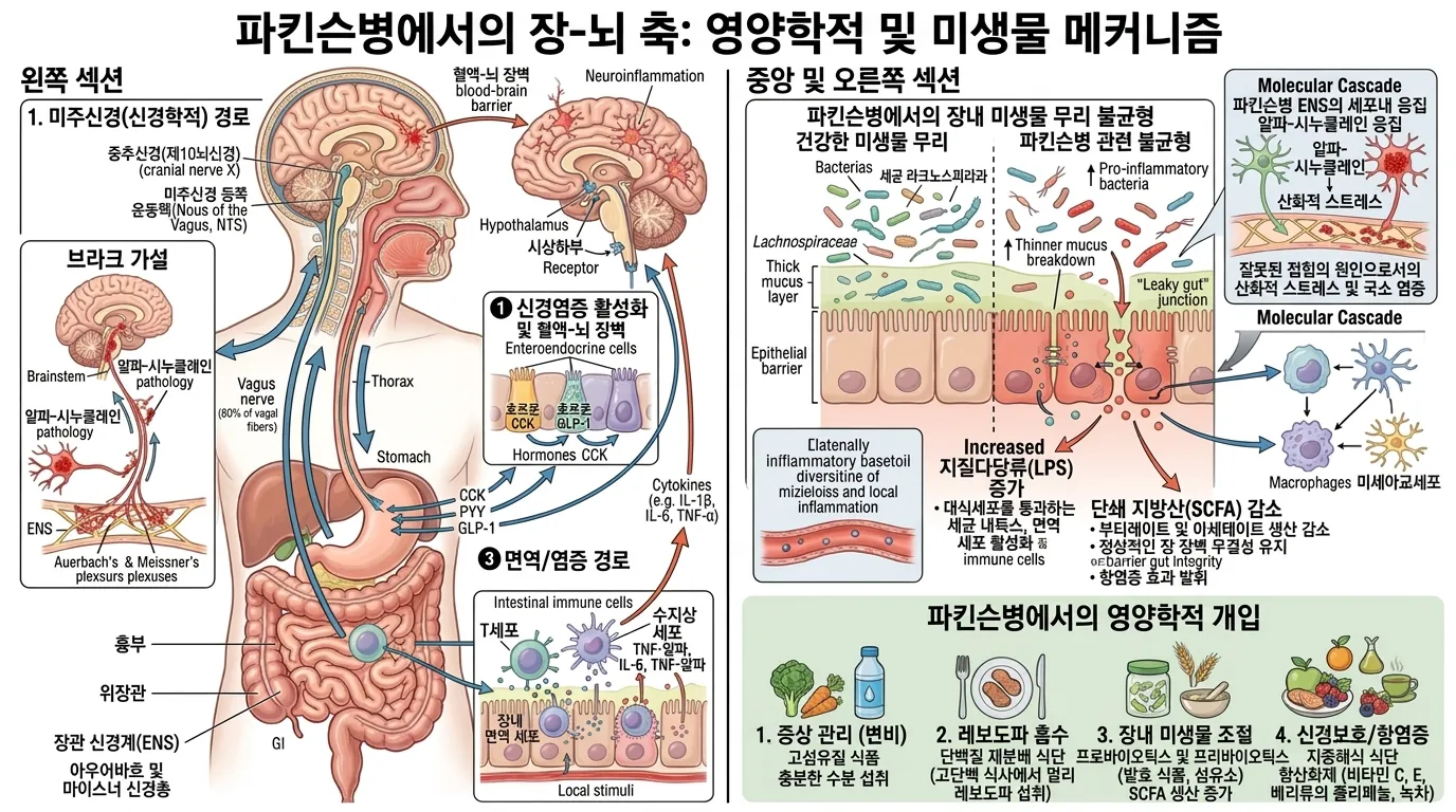 영양과 장-뇌 축의 분자 및 미생물총 메커니즘
